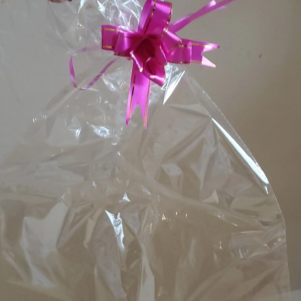 Clear Gift/Storage Bag with magenta Ribbon nwot